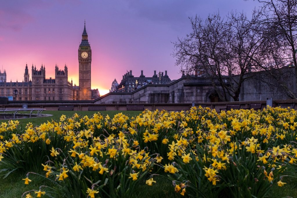 London in springtime: "When all at once, I saw a crowd, a host of golden daffodils..."