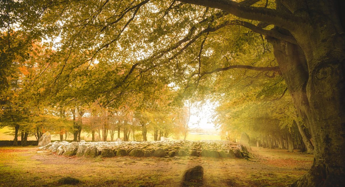 Clava Cairns near Inverness in a little surprise hazy sunshine