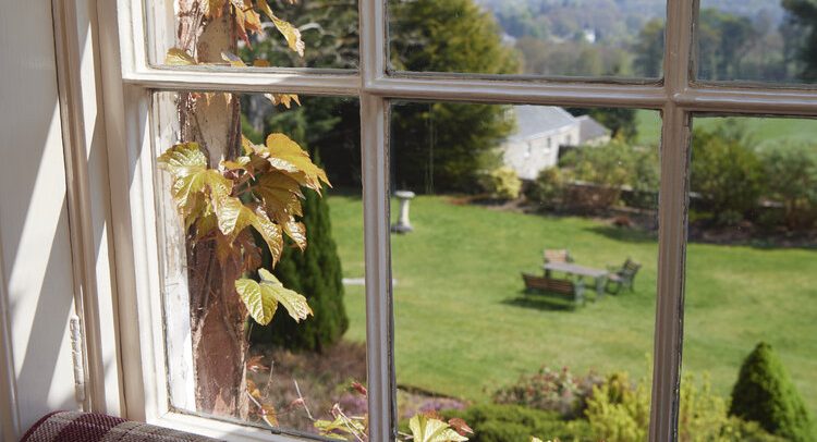 View from one of the Classic Double rooms.